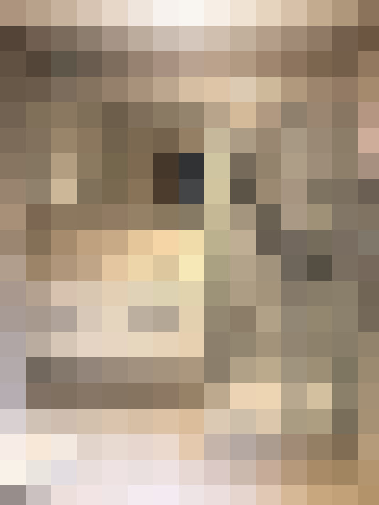 Image 40