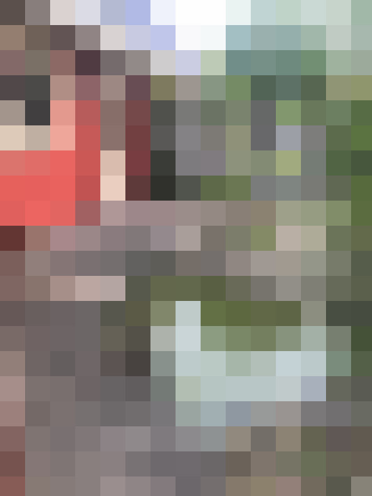 Image 50