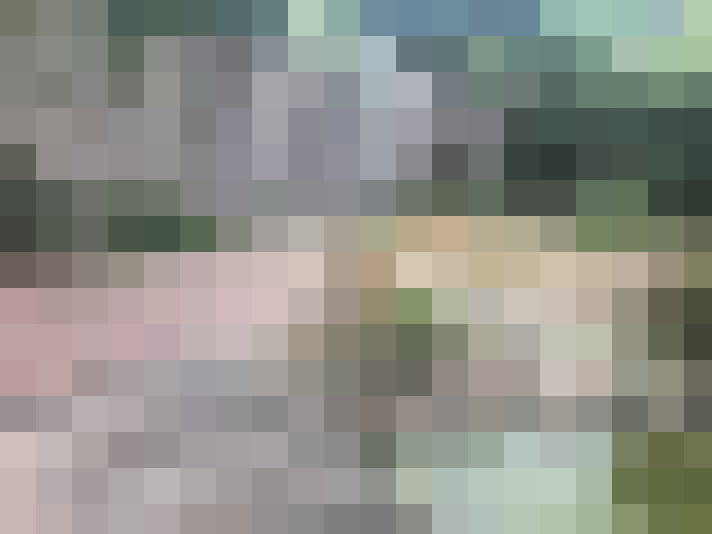 Image 51