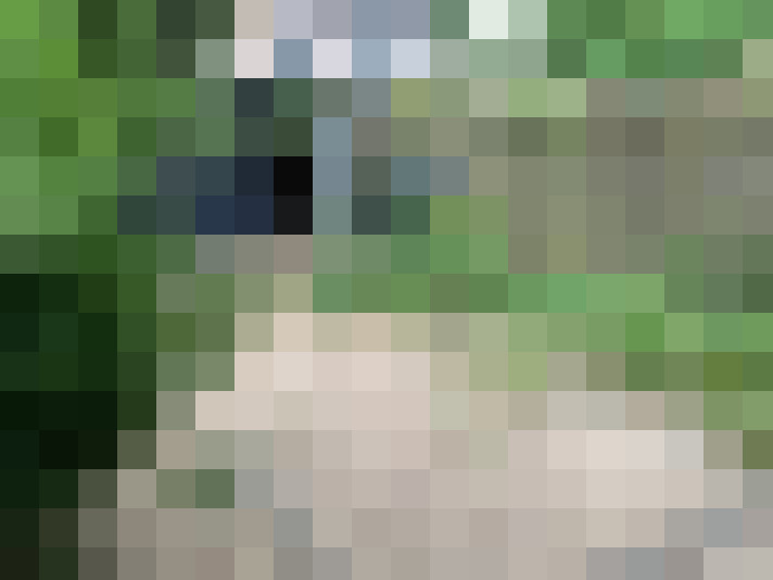 Image 18