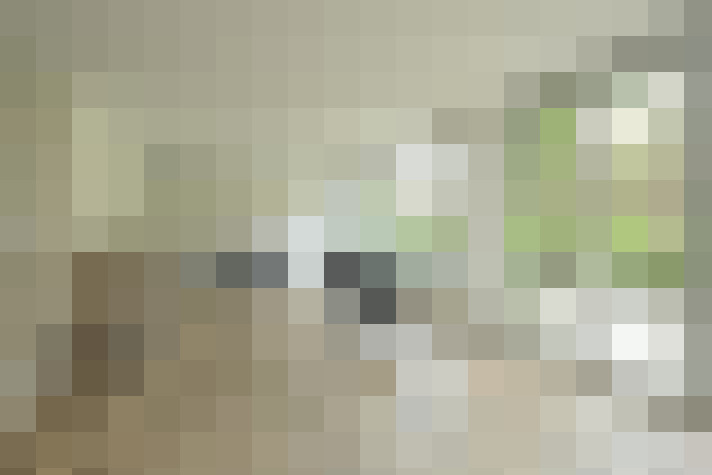 Image 41