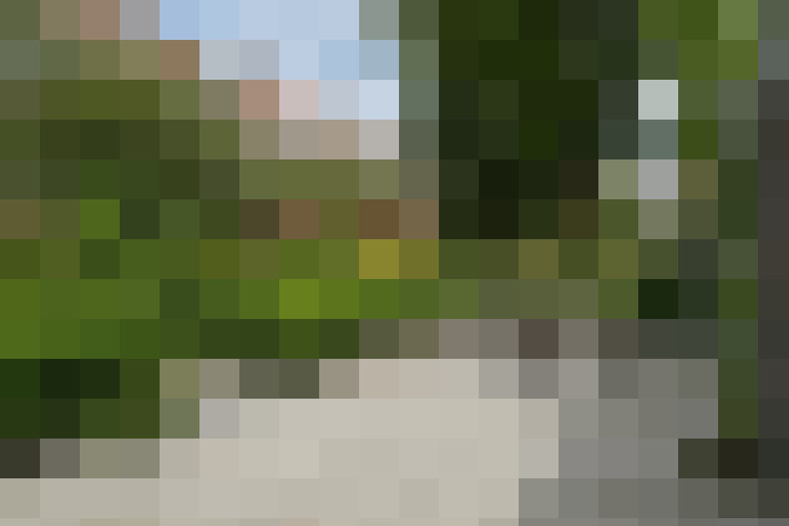 Image 45