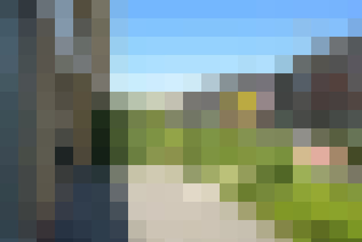 Image 31