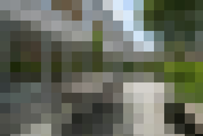 Image 46