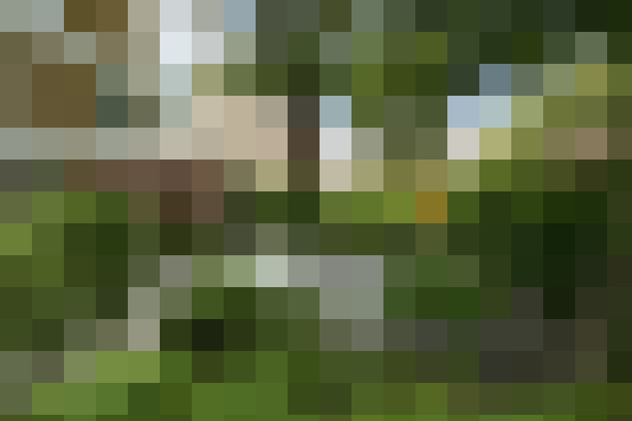 Image 49