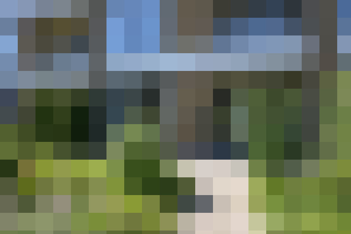 Image 30