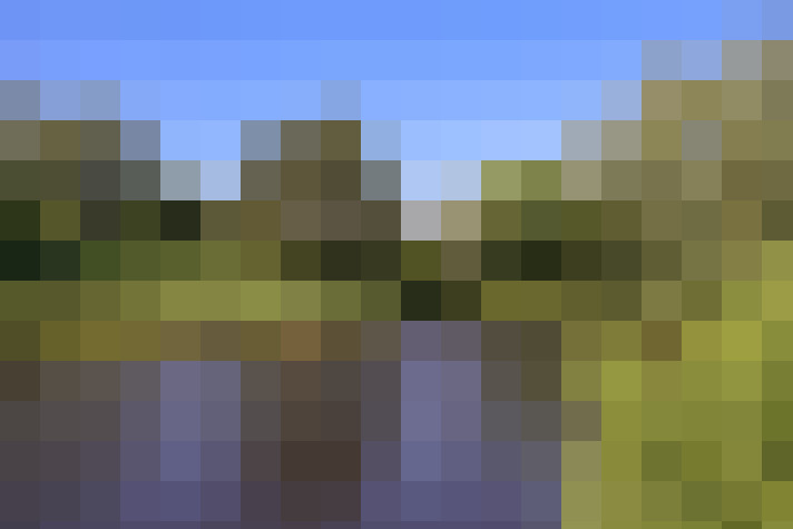Image 51