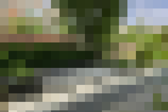 Image 48