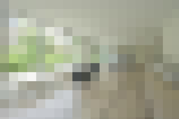 Image 42