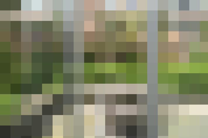 Image 44