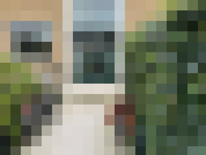 Image 27