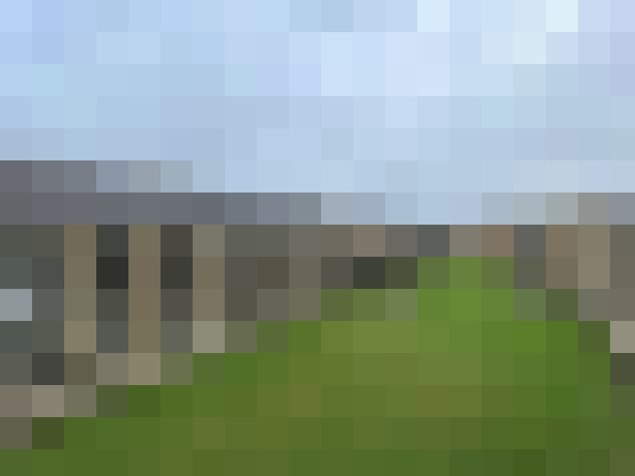 Image 23