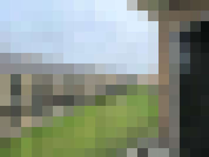 Image 24