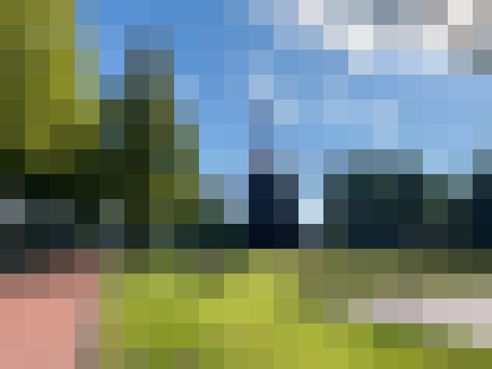 Image 26