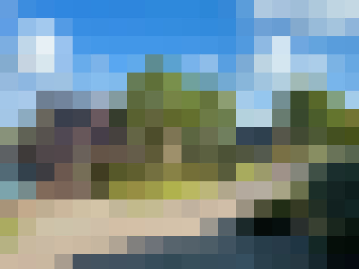 Image 22
