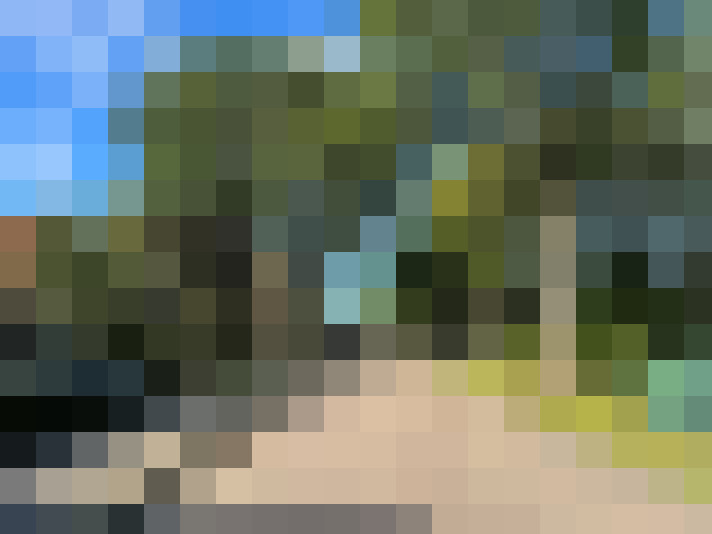 Image 23