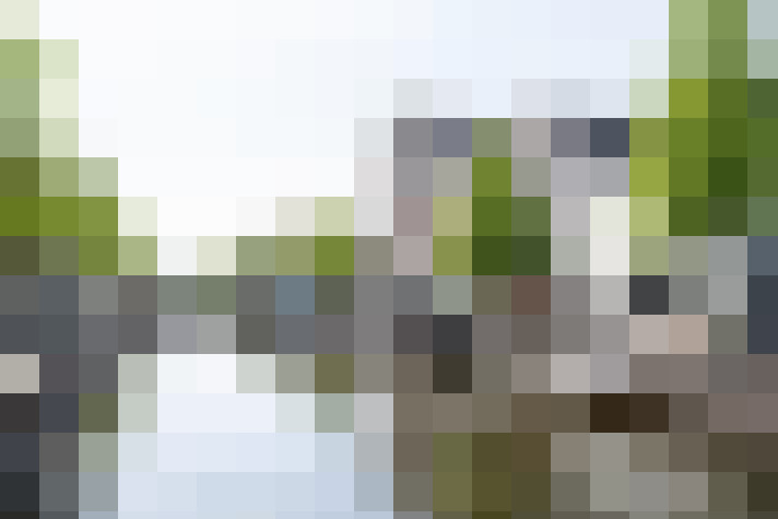 Image 31