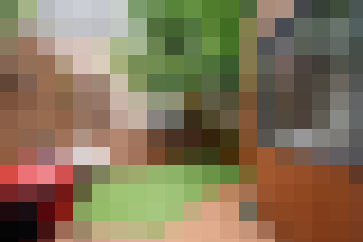Image 31