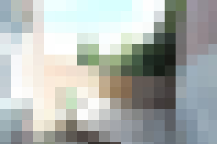 Image 20