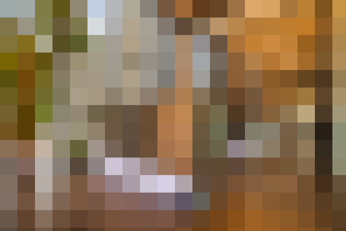 Image 42