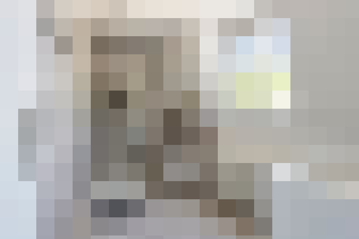 Image 23