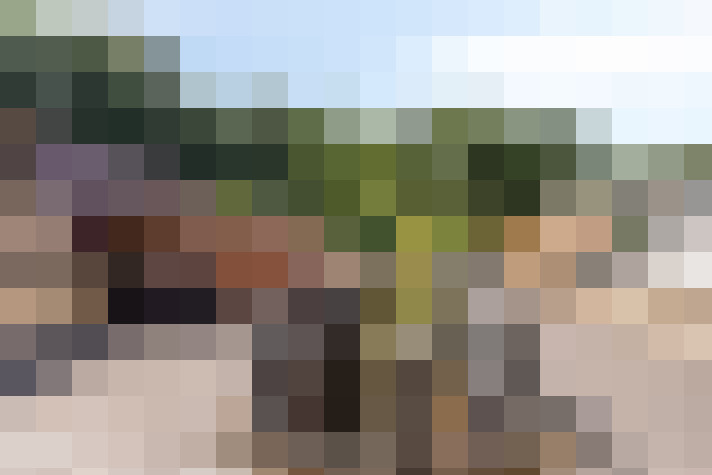 Image 29