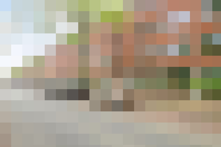 Image 17