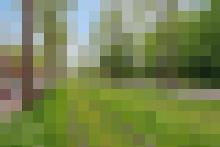 Image 18