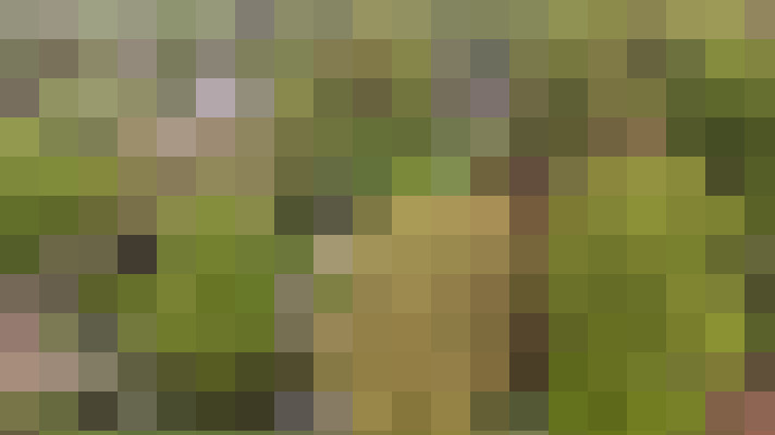 Image 24