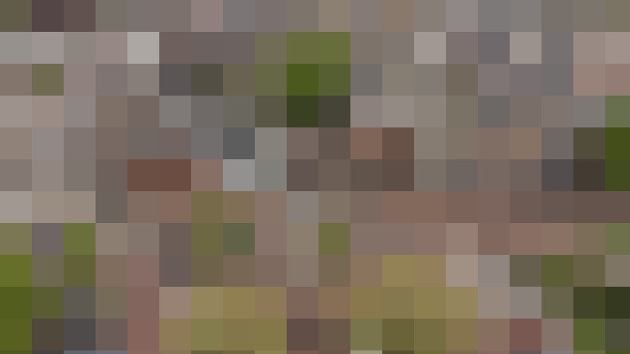 Image 28