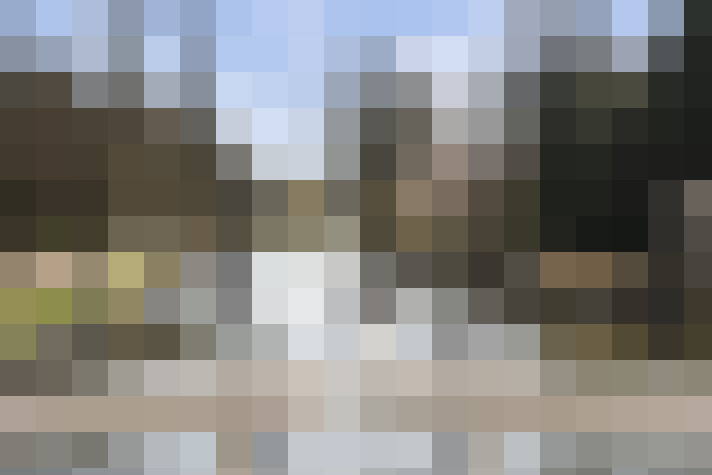 Image 31
