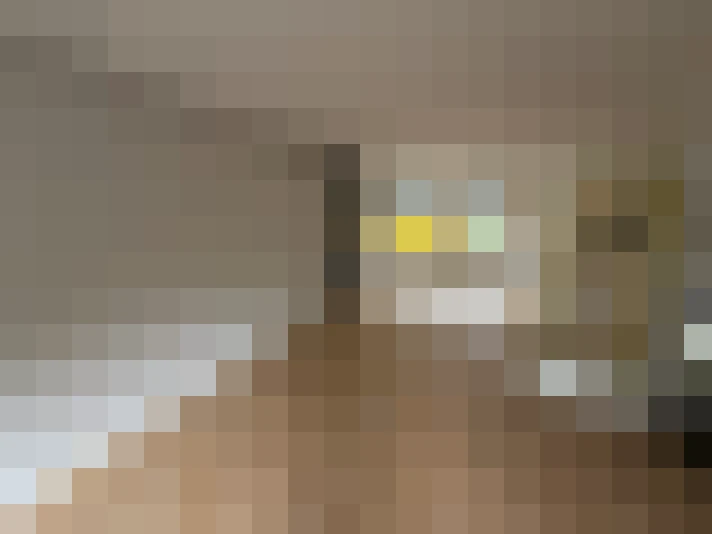  / #16