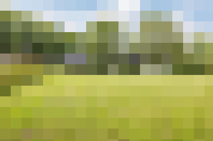 Image 47