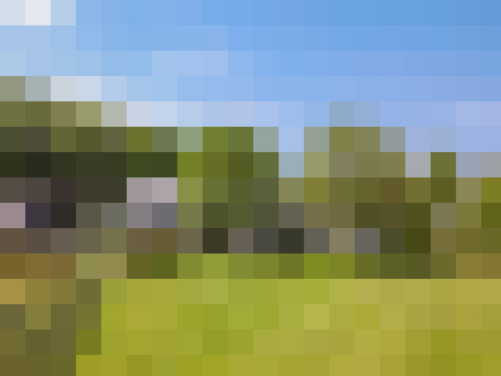 Image 58