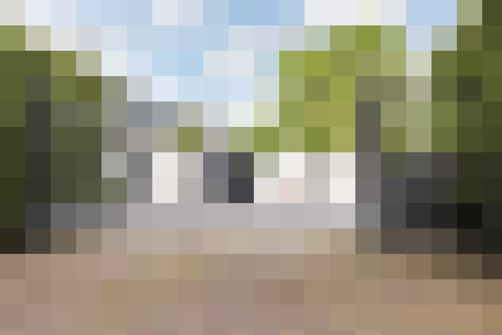 Image 55