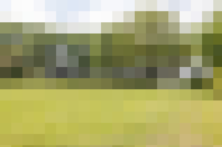 Image 49