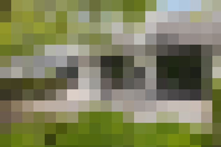 Image 44