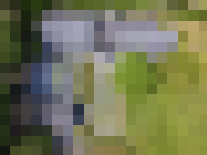 Image 42