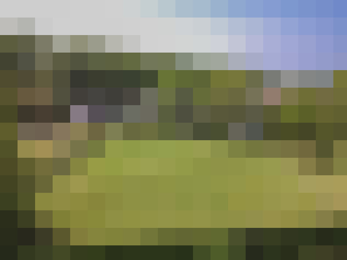 Image 60