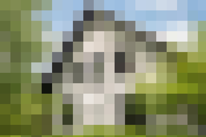 Image 53