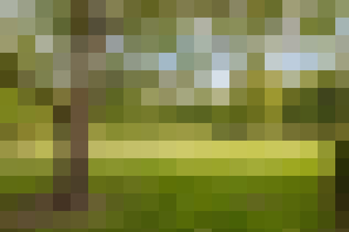 Image 50