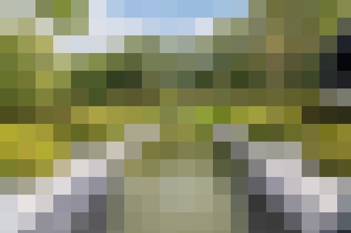Image 46