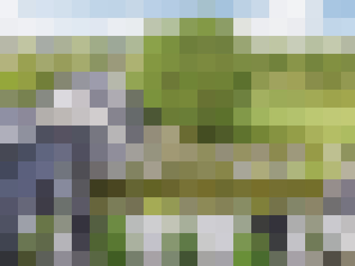 Image 59