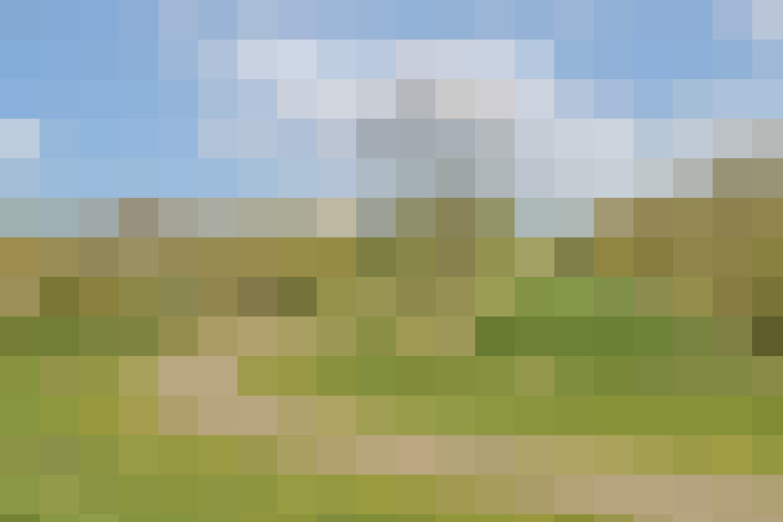 Image 25