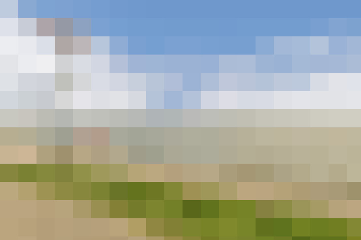 Image 23