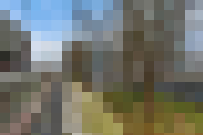 Image 31