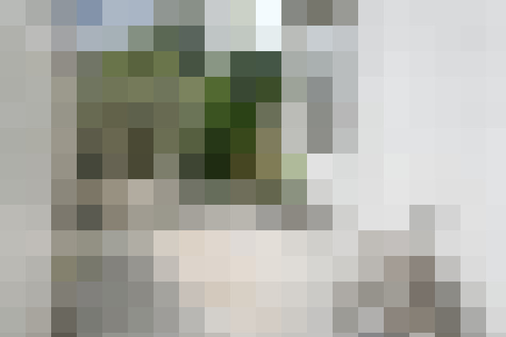 Image 27