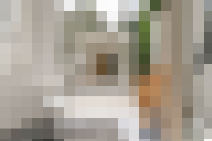 Image 20