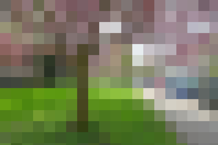 Image 32