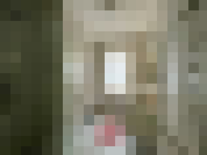 Image 13